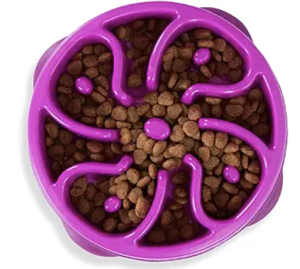 Fuchsia colored dog food bowl with dividers and kibble